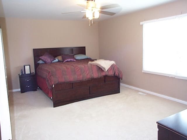 260 E Country Dr, Bartlett, IL 60103 photo 4
