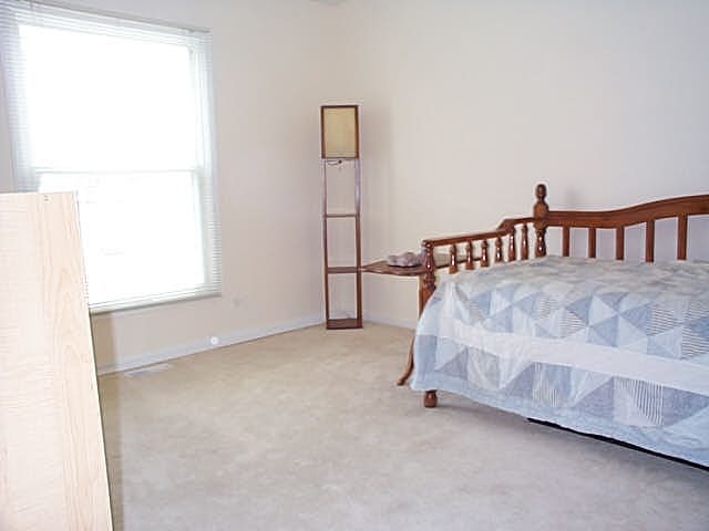 260 E Country Dr, Bartlett, IL 60103 photo 9