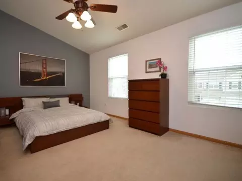 2443 Oak Tree Ln, Plainfield, IL 60586 photo 10