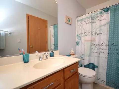 2443 Oak Tree Ln, Plainfield, IL 60586 photo 12