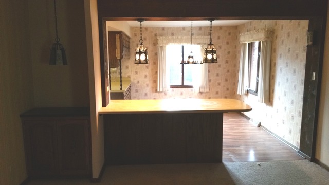 18538 Rose St, Lansing, IL 60438 photo 8
