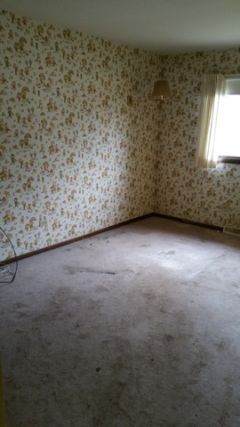 18538 Rose St, Lansing, IL 60438 photo 12