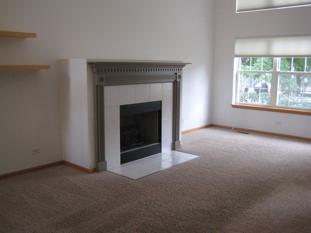 326 Bay Dr, Itasca, IL 60143 photo 3