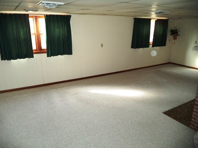 304 Wilmac St, Dwight, IL 60420 photo 2