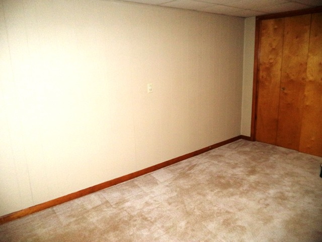 304 Wilmac St, Dwight, IL 60420 photo 14