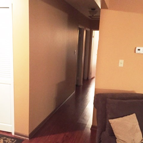 35 E Rocket Cir, Park Forest, IL 60466 photo 17