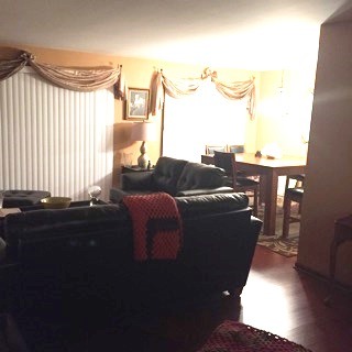 35 E Rocket Cir, Park Forest, IL 60466 photo 10
