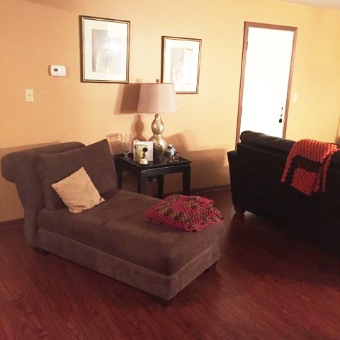 35 E Rocket Cir, Park Forest, IL 60466 photo 12
