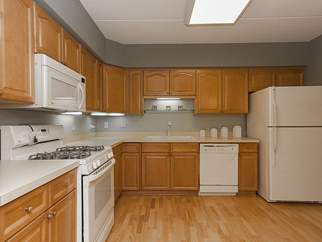 1476 Perry St #206, Des Plaines, IL 60016 photo 12