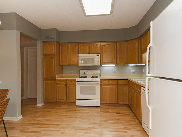 1476 Perry St #206, Des Plaines, IL 60016 photo 13