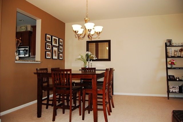 744 Sanborn St, Des Plaines, IL 60016 photo 11