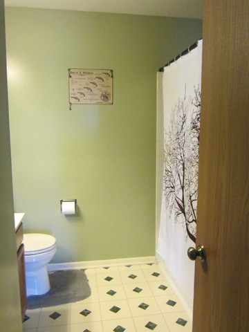 13709 S Jane Cir, Plainfield, IL 60544 photo 14