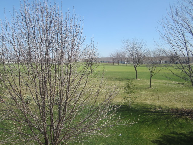 13709 S Jane Cir, Plainfield, IL 60544 photo 20