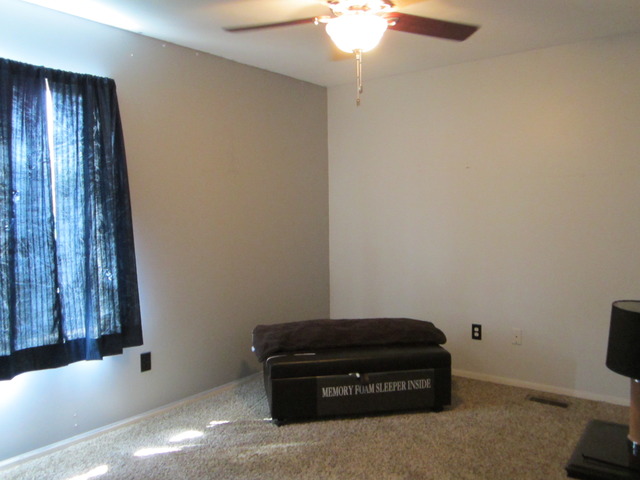 13709 S Jane Cir, Plainfield, IL 60544 photo 16