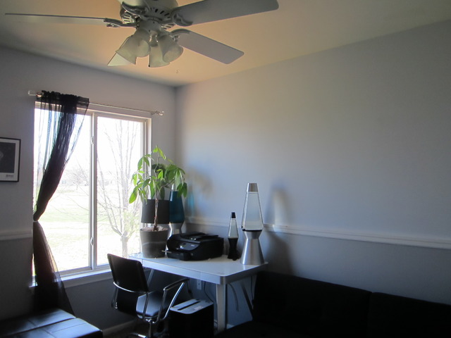 13709 S Jane Cir, Plainfield, IL 60544 photo 13