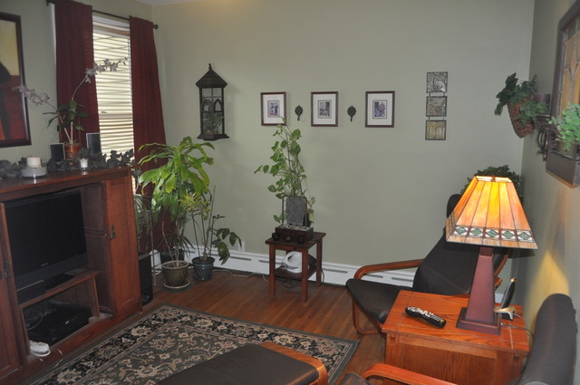 374 Hubbard Ave, Elgin, IL 60123 photo 6