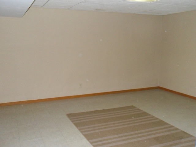 4212 W Offner Rd, Monee, IL 60449 photo 20
