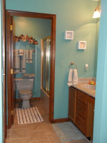 4212 W Offner Rd, Monee, IL 60449 photo 18