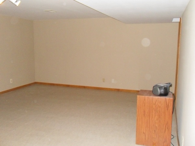 4212 W Offner Rd, Monee, IL 60449 photo 21