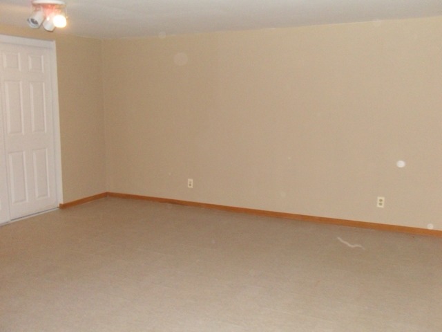 4212 W Offner Rd, Monee, IL 60449 photo 22