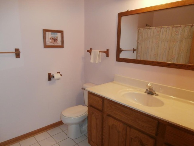 7004 Johnsburg Rd, Spring Grove, IL 60081 photo 20