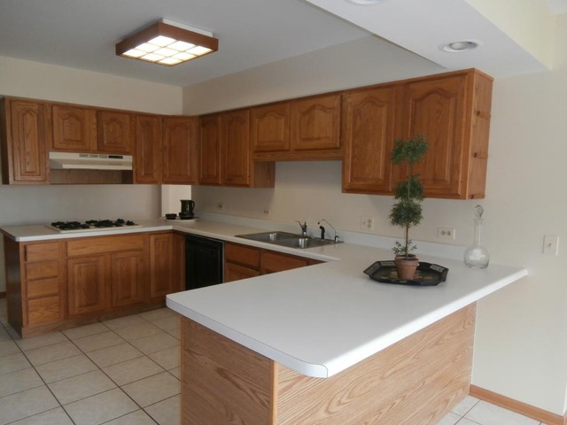 7004 Johnsburg Rd, Spring Grove, IL 60081 photo 7