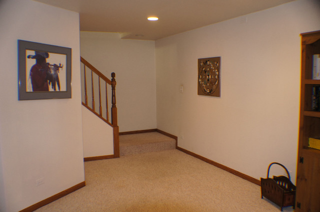 1230 Appleton Ln, Geneva, IL 60134 photo 10
