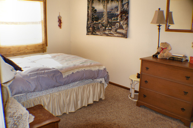 1230 Appleton Ln, Geneva, IL 60134 photo 15