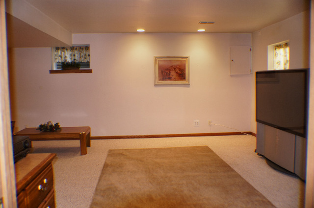 1230 Appleton Ln, Geneva, IL 60134 photo 13