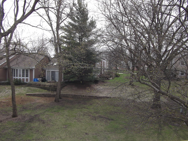 1750 Ardmore Ln #C, Wheaton, IL 60189 photo 5