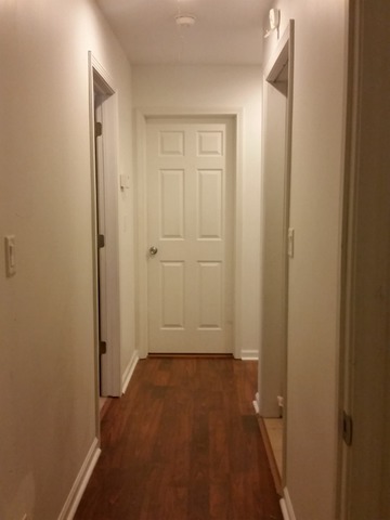 147 S Forest Ave, Hillside, IL 60162 photo 13