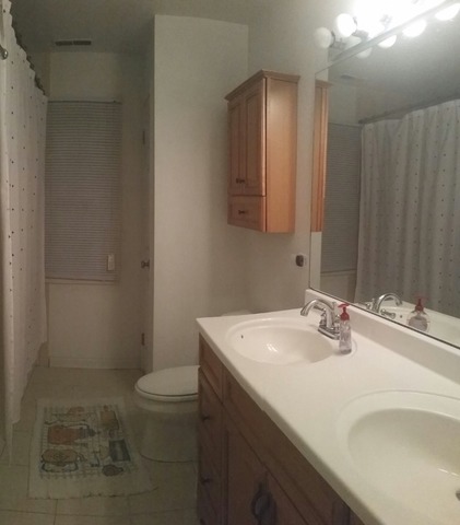 147 S Forest Ave, Hillside, IL 60162 photo 11