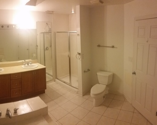 147 S Forest Ave, Hillside, IL 60162 photo 8