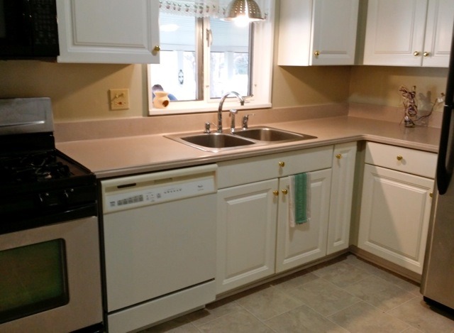 295 Payson St, Hoffman Estates, IL 60169 photo 8