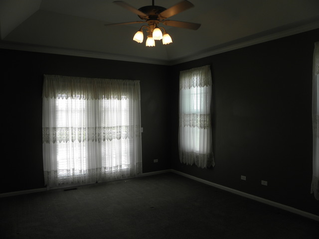 1405 E Braceville Rd, Mazon, IL 60444 photo 18