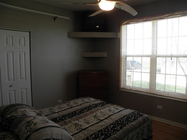 1405 E Braceville Rd, Mazon, IL 60444 photo 19