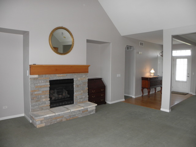 1405 E Braceville Rd, Mazon, IL 60444 photo 9