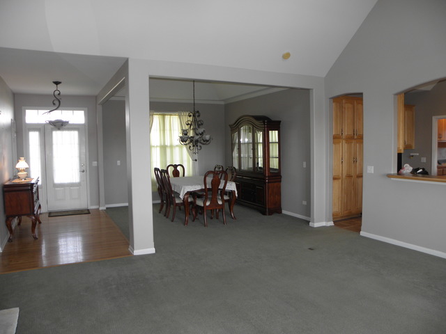 1405 E Braceville Rd, Mazon, IL 60444 photo 11