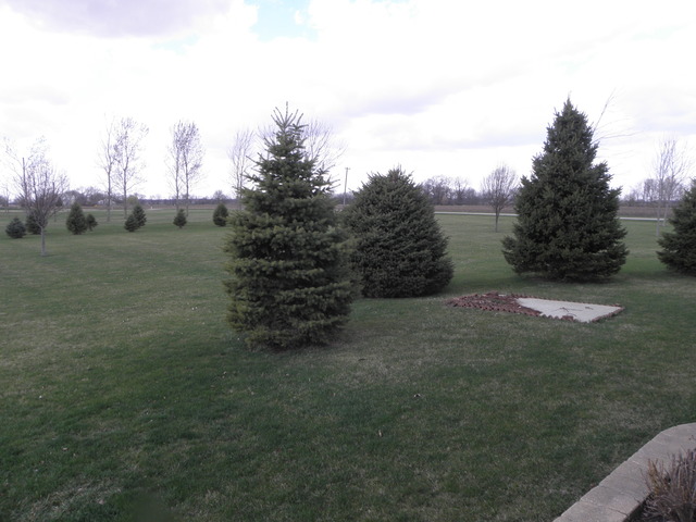 1405 E Braceville Rd, Mazon, IL 60444 photo 25