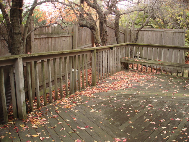 3972 Dundee Rd, Northbrook, IL 60062 photo 18