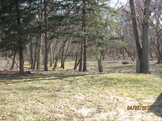 2256 W Terry Ln, Broadview, IL 60155 photo 9