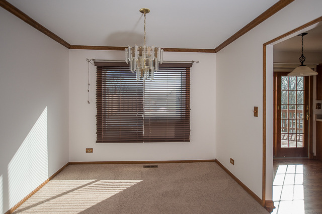 1163 Driftwood Ln, Bartlett, IL 60103 photo 6
