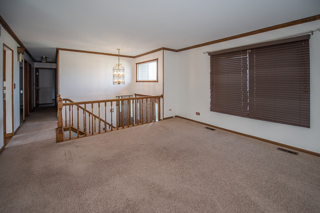 1163 Driftwood Ln, Bartlett, IL 60103 photo 5