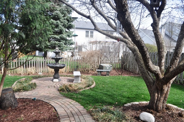 745 N Lyle Ave, Elgin, IL 60123 photo 22