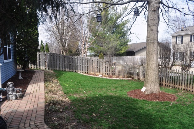 745 N Lyle Ave, Elgin, IL 60123 photo 21