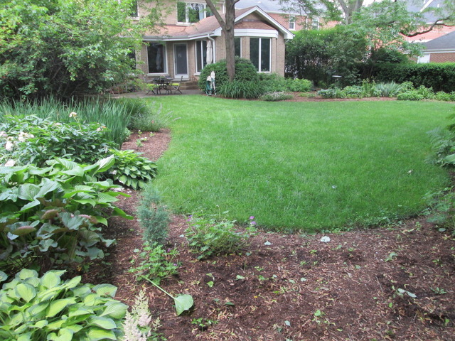 292 E Forest Ave, Elmhurst, IL 60126 photo 23