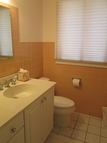 292 E Forest Ave, Elmhurst, IL 60126 photo 19