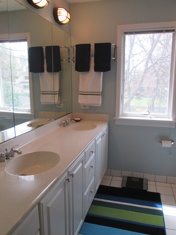 292 E Forest Ave, Elmhurst, IL 60126 photo 17
