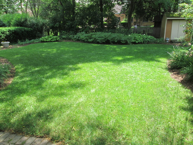 292 E Forest Ave, Elmhurst, IL 60126 photo 24