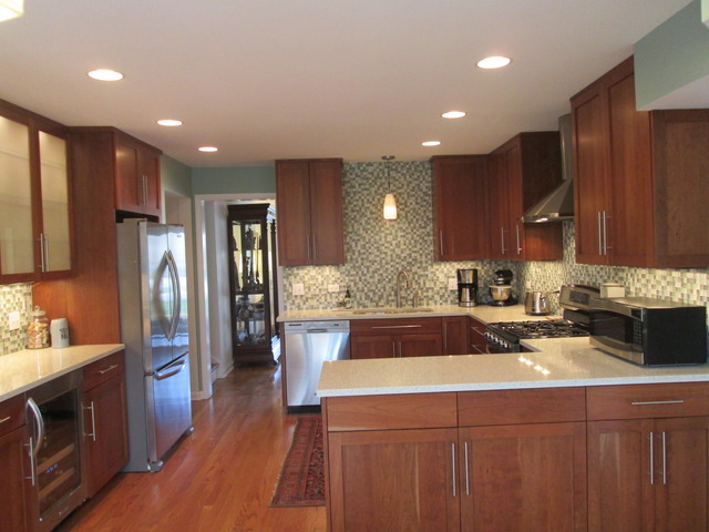 292 E Forest Ave, Elmhurst, IL 60126 photo 6
